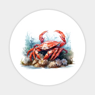 Red Crab Magnet